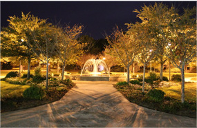 有稳定货源吗的网络手机号免费版